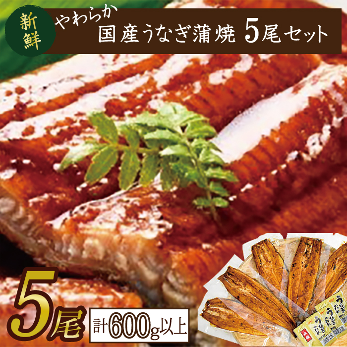 【茨城県行方市】やわらか国内産うなぎ蒲焼満足サイズ!120〜140g 5尾 計600g以上|うなぎ 鰻 蒲焼 満足 茨城県 行方市(AD-82-1)