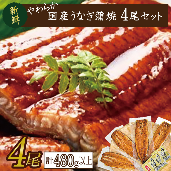 【茨城県行方市】やわらか国内産うなぎ蒲焼満足サイズ!120〜140g 4尾 計480g以上|うなぎ 鰻 蒲焼 満足 茨城県 行方市(AD-83-1)