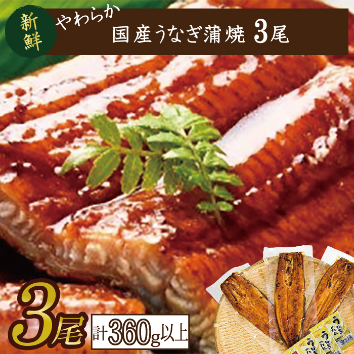 y錧ssz炩YȂĖTCYI120`140g 3@v360gȏ|Ȃ V   錧 ss(AD-84-1)