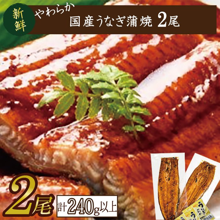 やわらか国内産うなぎ蒲焼満足サイズ！120～140g 2尾　計240g以上|うなぎ 鰻 蒲焼 満足 茨城県 行方市(AD-85-1)