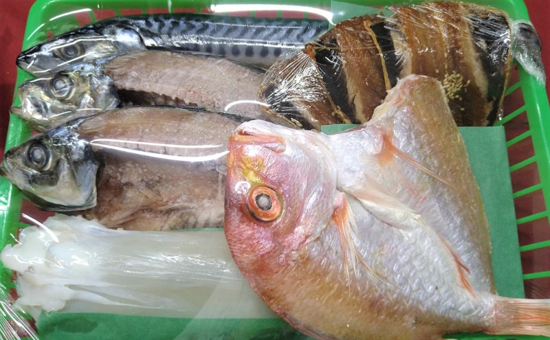 海の京都 橋立やまいち 干物セット 贈答用 C[ 一夜干し 桜干し ギフト ] 魚貝類 塩サバ イワシ イカ アジ レンコダイ 手土産 