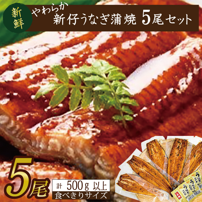 y錧ssz炩YȂĂI Hא؂TCY100`120g 5@v500gȏ|Ȃ V  Hא؂ 錧 ss(AD-103-1)