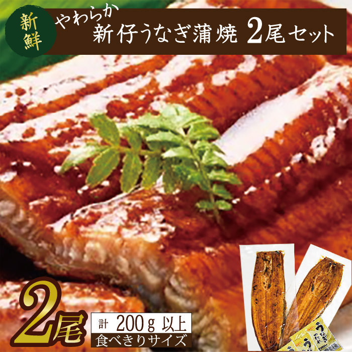 y錧ssz炩YȂĂI Hא؂TCY100`120g 2@v200gȏ|Ȃ V  Hא؂ 錧 ss(AD-106-1)