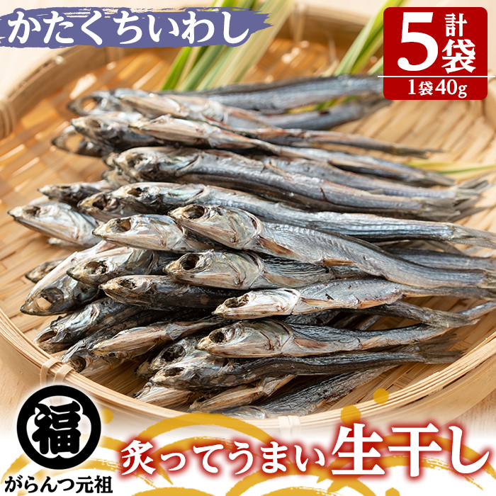 鹿児島県阿久根市産生干し「かたくちいわし」(計5袋・1袋40g)国産 魚介