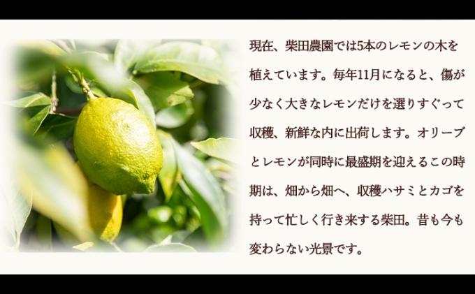 【 小豆島 】【先行予約】小豆島産レモンオリーブオイル136g　(2025年12月下旬発送開始) 調味料 食用油 