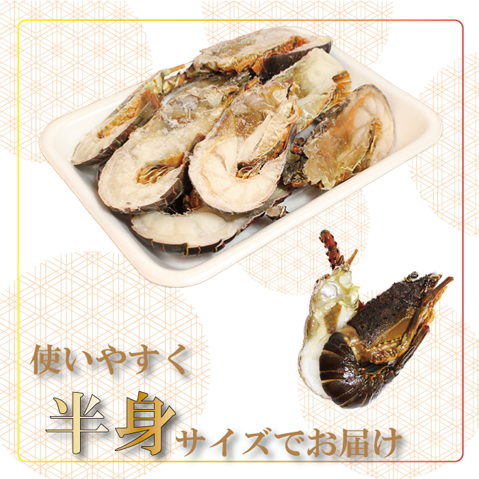 地元産 冷凍伊勢海老カット(サイズ不揃い）約1kg◇｜えび エビ 魚介 海鮮 海産物 和歌山 伊勢海老 伊勢エビ イセエビ 高級 カット 鍋 味噌汁 瞬間冷凍 国産 産地直送 美浜町