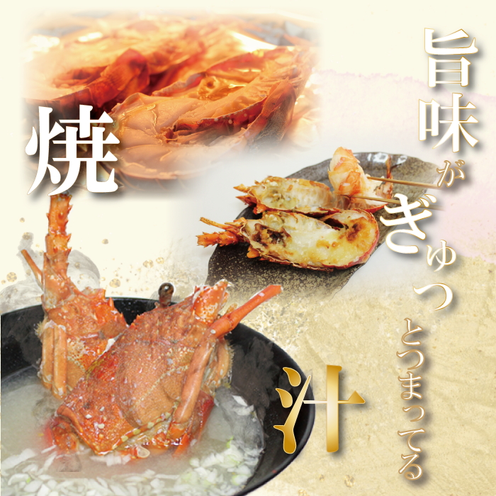 地元産 冷凍伊勢海老カット(サイズ不揃い）約1kg◇｜えび エビ 魚介 海鮮 海産物 和歌山 伊勢海老 伊勢エビ イセエビ 高級 カット 鍋 味噌汁 瞬間冷凍 国産 産地直送 美浜町