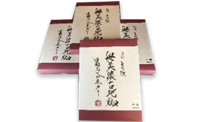 奥美濃古地鶏 手羽先やわ煮カレー　4箱セット お肉 鶏肉 加工食品 レトルト 柔らかい 