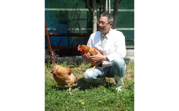 神代の味・奥美濃古地鶏 混ぜご飯の素　4箱セット 加工食品 惣菜 レトルト お肉 モモ肉 