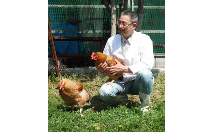 神代の味・奥美濃古地鶏 黒カレー 4箱セット お肉 鶏肉 加工食品 レトルト 玉ねぎ 柔らかい 