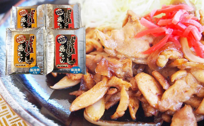 とり沢の名古屋コーチン鶏ちゃんセット 加工品 惣菜 冷凍 郷土料理 若鶏 味噌 醤油 味付 お鍋 国産 地鶏 