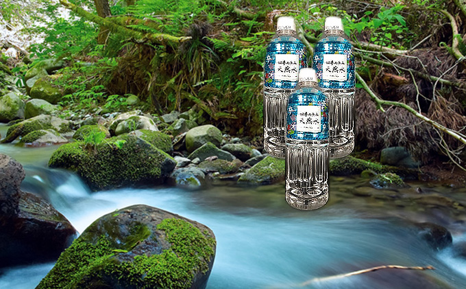 【岐阜県海津市】四季の恵み天然水 550ml 48本セット 飲料類 ミネラルウォーター 養老山渓 清らかな 湧き水