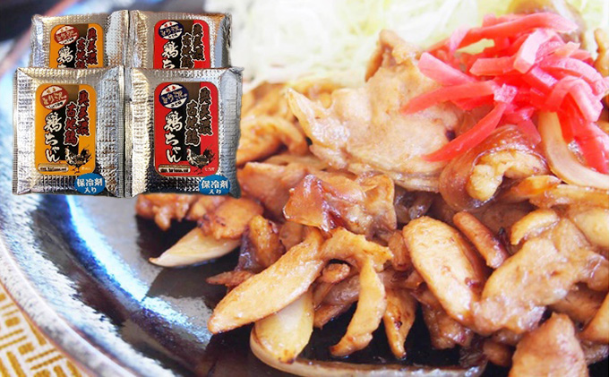 とり沢の奥美濃古地鶏 鶏ちゃんセット 加工品 惣菜 冷凍 郷土料理 若鶏 味噌 醤油 味付 お鍋 国産 