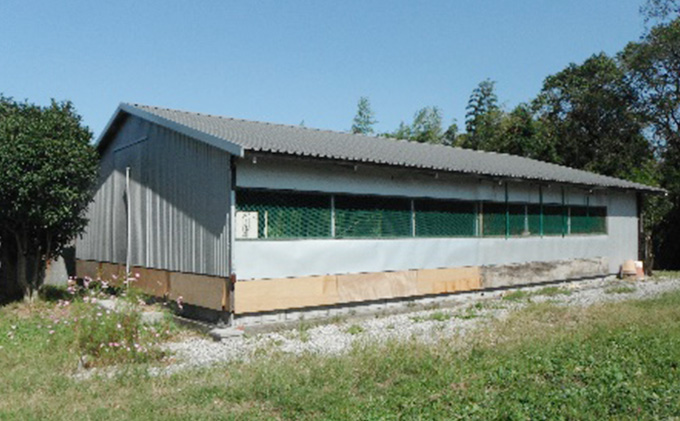 とり沢の地鶏　鶏ちゃんセット 加工品 惣菜 冷凍 郷土料理 若鶏 味噌 醤油 味付 お鍋 国産 名古屋コーチン 