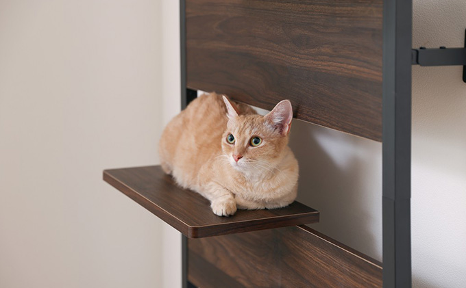 キャットステップ ウォールナット CATS-68 アイリスオーヤマ 雑貨 日用品 猫 ペットグッズ 