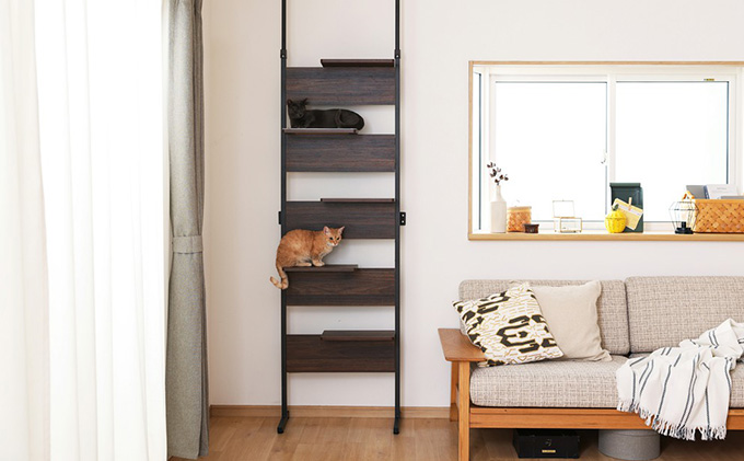 キャットステップ ウォールナット CATS-68 アイリスオーヤマ 雑貨 日用品 猫 ペットグッズ 