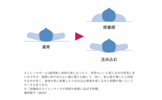 FI002【LPN社製】「ストレッチポールEX」（ネイビー色）一流アスリートから医療の現場、ご家庭まで幅広く活用。