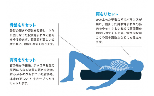 FI002【LPN社製】「ストレッチポールEX」（ネイビー色）一流アスリートから医療の現場、ご家庭まで幅広く活用。