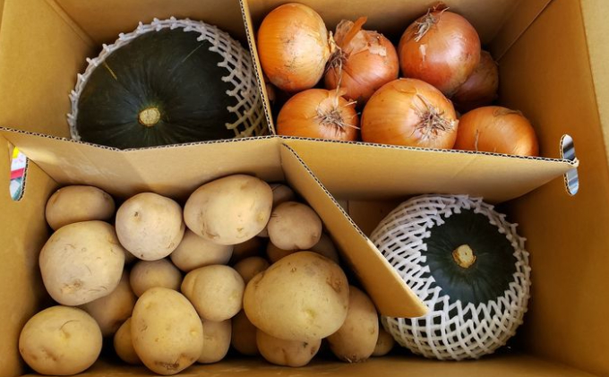 【2025年出荷先行予約】十勝幕別町産 かぼちゃ2個・玉ねぎ4kg・じゃがいも2kg 計約10kg［山田敏明牧場］ 野菜 たまねぎ セット 詰合せ 旬の野菜 産地直送 北海道産 