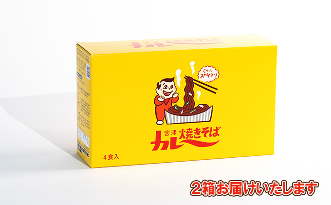 即席めん 宮津カレー焼きそば 4食入×2箱 天橋立 ご当地 ソウルフード インスタント麺 焼きそば ラーメン 麺類 B級グルメ 宮津 家庭 カレー焼きそば 