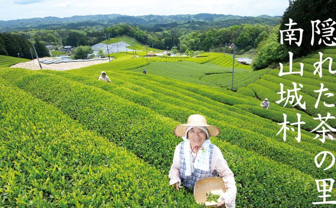 京都府南山城村のふるさと納税 【宇治抹茶スイーツ】抹茶の味がしっかりと味わえる　むらちゃアイス抹茶6個セット お茶 夏 おやつ デザート 食後 ひんやり