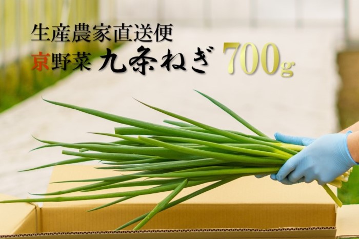 【京都府宇治田原町】生産農家直送 京野菜・九条ねぎ700g〈ねぎ ネギ 葱 九条ねぎ 京野菜 京都 新鮮 甘い 農家直送 野菜〉 京都府産 薬味 料理 食材