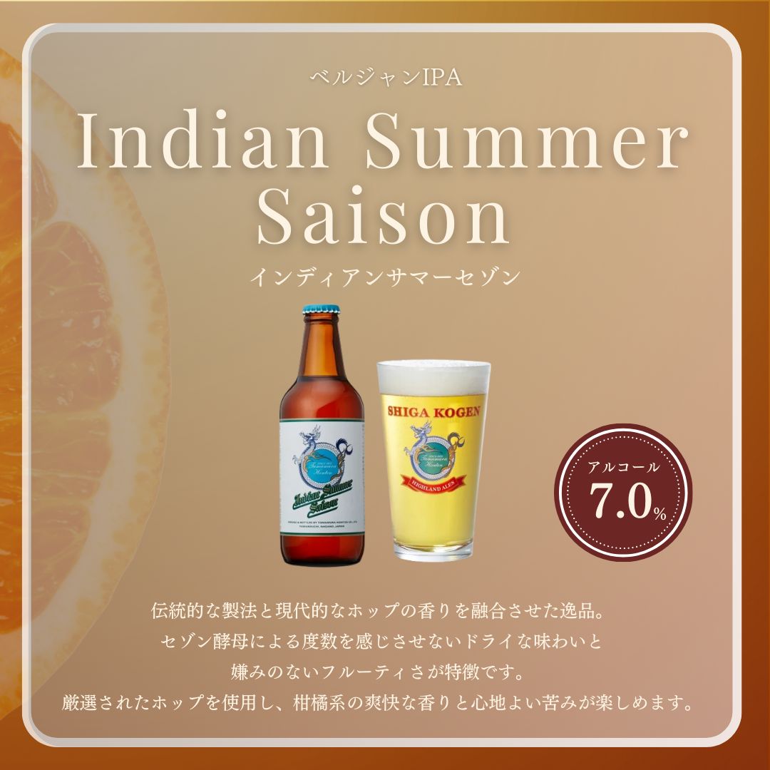 定期便 3ヶ月 志賀高原ビール24本セット 【 クラフトビール 志賀高原ビール 飲み比べセット 玉村本店 ビール 詰め合わせ セット 地ビール 飲み比べ 黒ビール IPA ipa ペールエール 酒 お酒 長野 定期 お楽しみ 3回 】 