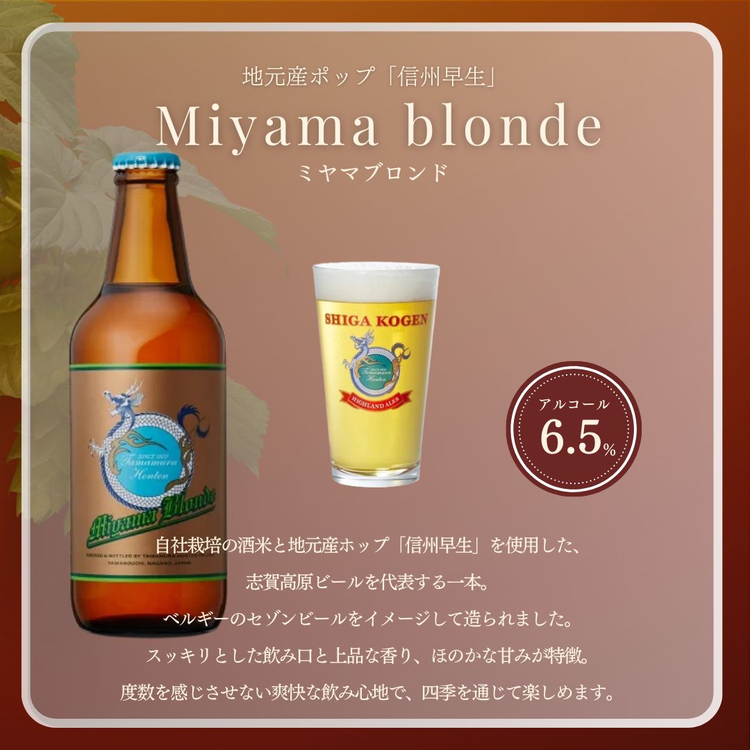 定期便 3ヶ月 志賀高原ビール12本セット 【 クラフトビール 志賀高原ビール 飲み比べセット 玉村本店 ビール 詰め合わせ セット 地ビール 飲み比べ 黒ビール IPA ipa ペールエール 酒 お酒 長野 定期 お楽しみ 3回 】 