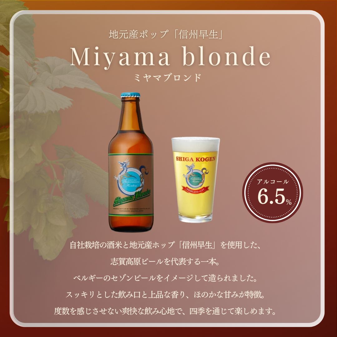 定期便 3ヶ月 志賀高原ビール24本セット 【 クラフトビール 志賀高原ビール 飲み比べセット 玉村本店 ビール 詰め合わせ セット 地ビール 飲み比べ 黒ビール IPA ipa ペールエール 酒 お酒 長野 定期 お楽しみ 3回 】 