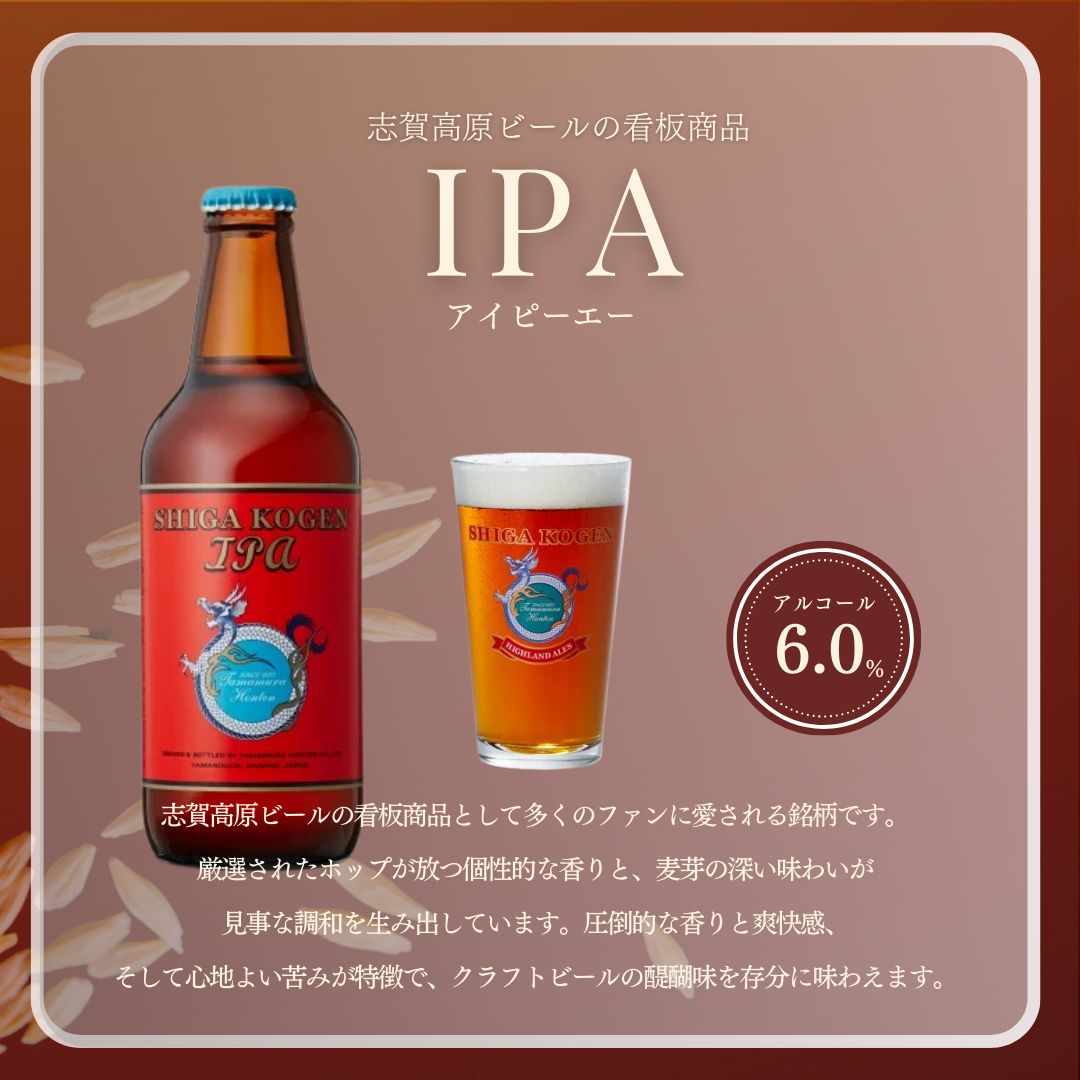 定期便 3ヶ月 志賀高原ビール12本セット 【 クラフトビール 志賀高原ビール 飲み比べセット 玉村本店 ビール 詰め合わせ セット 地ビール 飲み比べ 黒ビール IPA ipa ペールエール 酒 お酒 長野 定期 お楽しみ 3回 】 