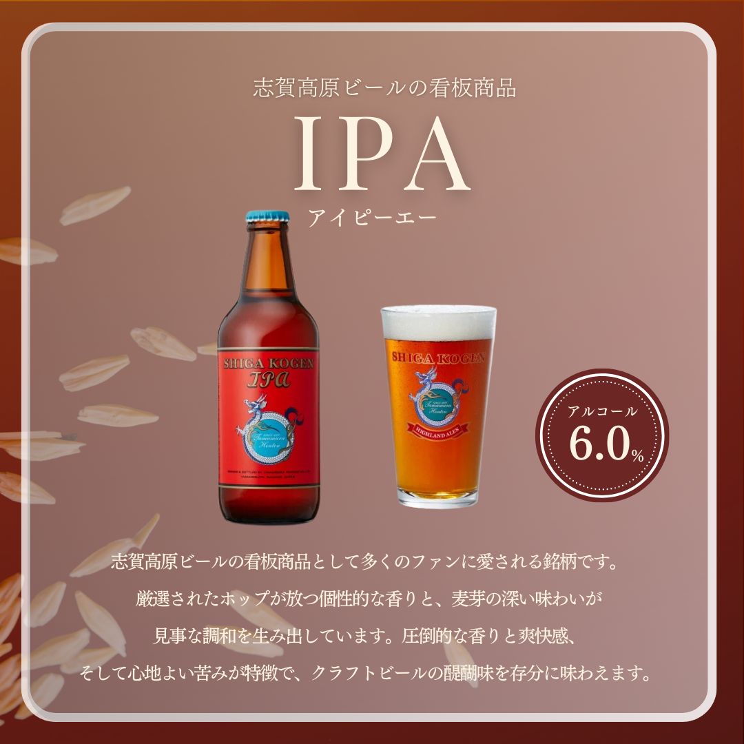 定期便 3ヶ月 志賀高原ビール24本セット 【 クラフトビール 志賀高原ビール 飲み比べセット 玉村本店 ビール 詰め合わせ セット 地ビール 飲み比べ 黒ビール IPA ipa ペールエール 酒 お酒 長野 定期 お楽しみ 3回 】 