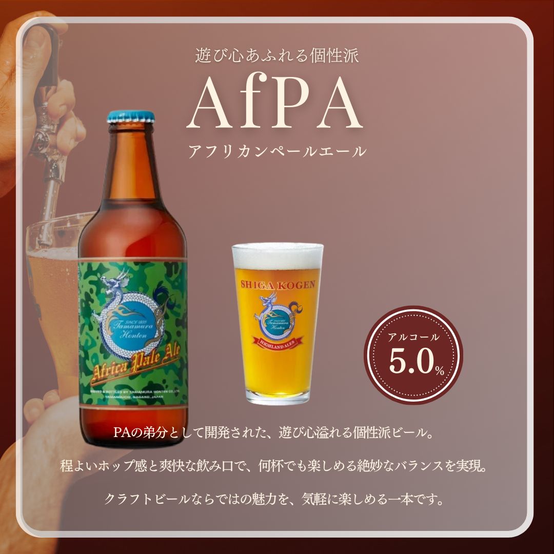 定期便 3ヶ月 志賀高原ビール12本セット 【 クラフトビール 志賀高原ビール 飲み比べセット 玉村本店 ビール 詰め合わせ セット 地ビール 飲み比べ 黒ビール IPA ipa ペールエール 酒 お酒 長野 定期 お楽しみ 3回 】 