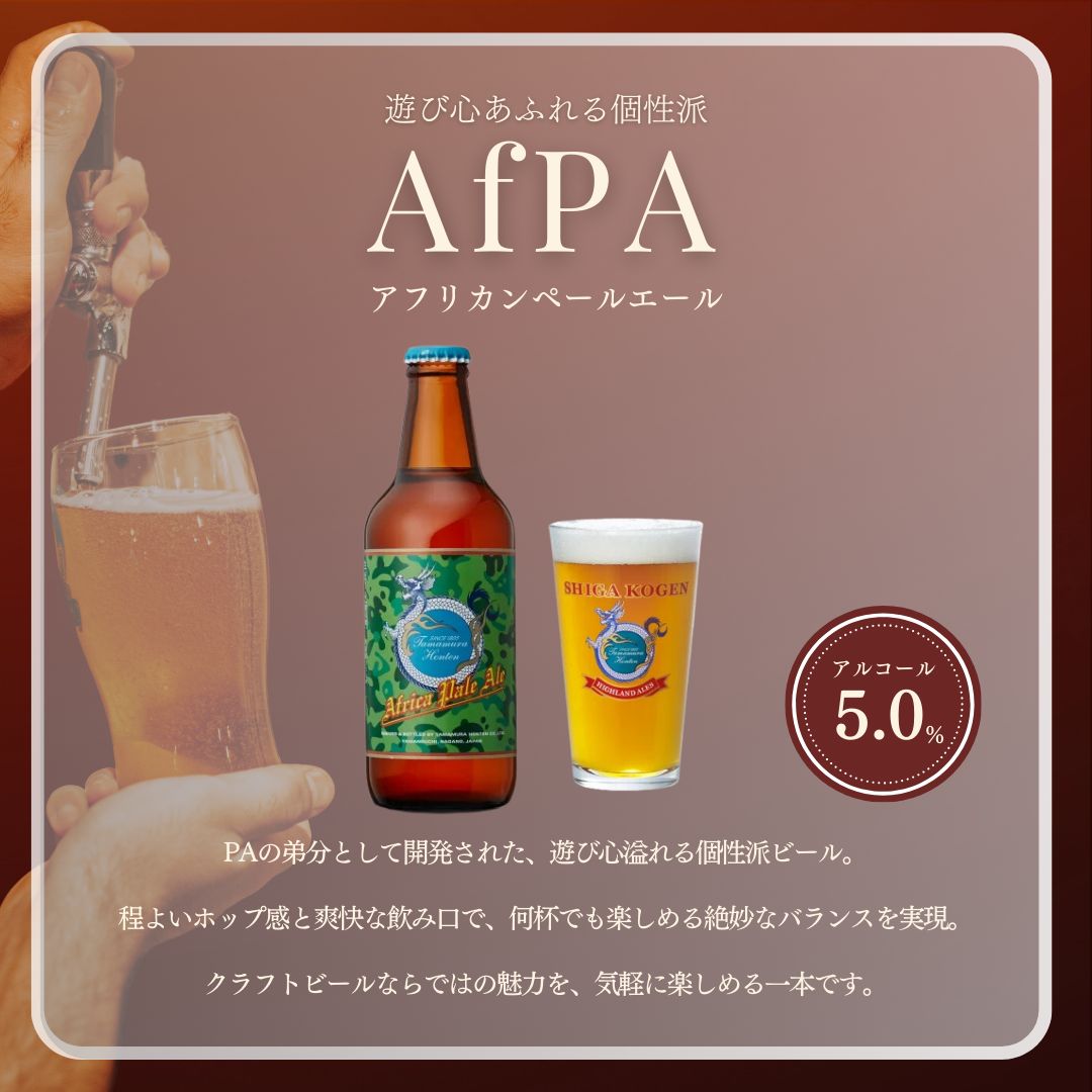 定期便 3ヶ月 志賀高原ビール24本セット 【 クラフトビール 志賀高原ビール 飲み比べセット 玉村本店 ビール 詰め合わせ セット 地ビール 飲み比べ 黒ビール IPA ipa ペールエール 酒 お酒 長野 定期 お楽しみ 3回 】 