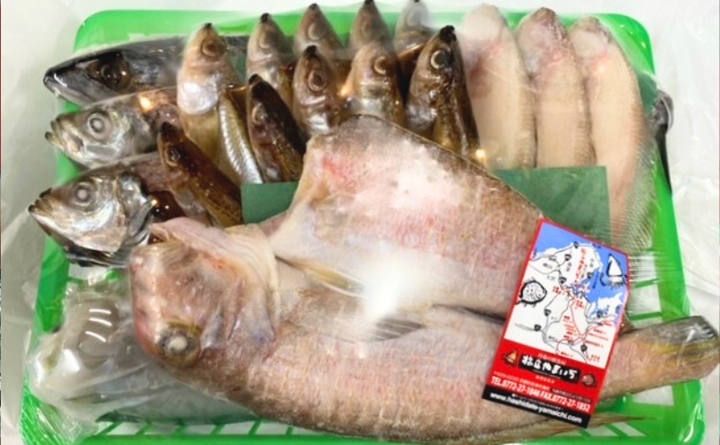 海の京都 橋立やまいち 干物セット 贈答用 E[ 一夜干し ギフト ] 魚貝類 アジ イカ サバ ハタハタ 