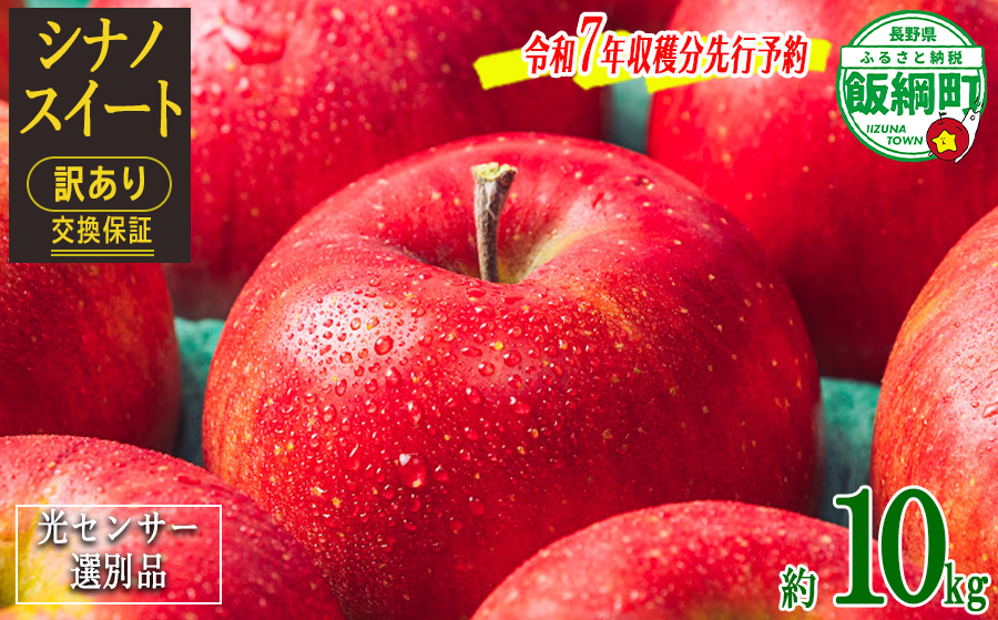 長野県飯綱町のふるさと納税 りんご 10Kg 【令和７年度先行予約】 果物 訳あり シナノスイート 長野県 感謝りんご 交換保証 規格外 傷あり 10キロ (２４から５０玉)  R7年10月頃順次発送  飯綱町 [1206]