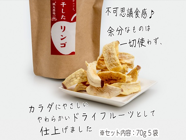 ドライフルーツ 不可思議食感！？ 干し果実 セット L 白神のふもと 風丸農場 ドライアップル りんごジャム 煎り毛豆 干しプルーン / 干し柿 詰め合わせ りんご 干しリンゴ アップル ジャム ドライ プルーン 柿 無添加 フルーツ 果物 青森 青森県