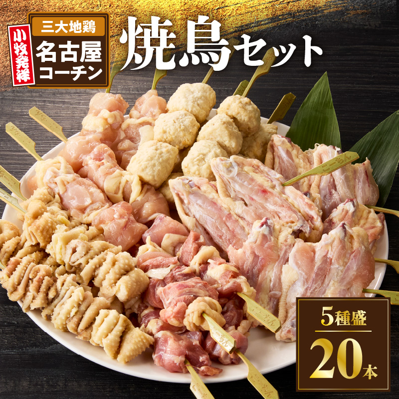 愛知県小牧市のふるさと納税 名古屋コーチン焼鳥　5種20本セット（もも・むね・手羽中・皮・つくね）[001T02]