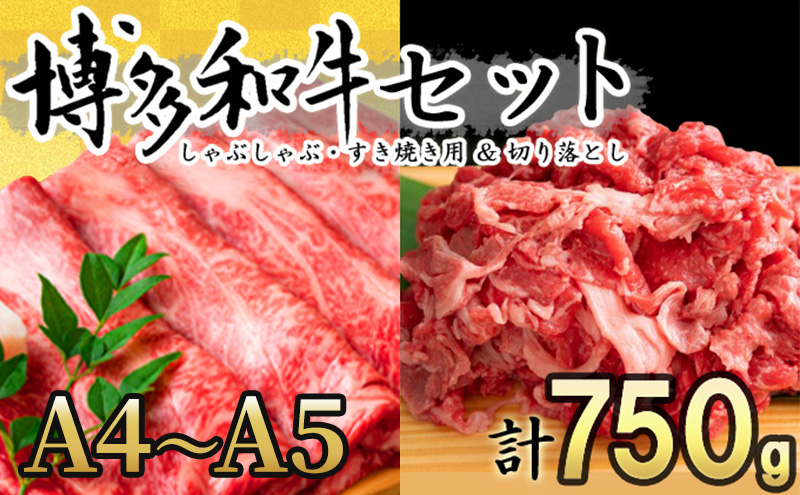yqszʌ a A4`A5 Ԃ Ă 750g ZbgiXCX 250gE؂藎Ƃ 500gjzsF