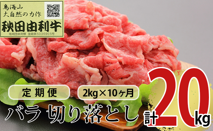 【秋田県にかほ市】《定期便》10ヶ月連続 秋田由利牛 バラ切り落とし 2kg(1kg×2パック)