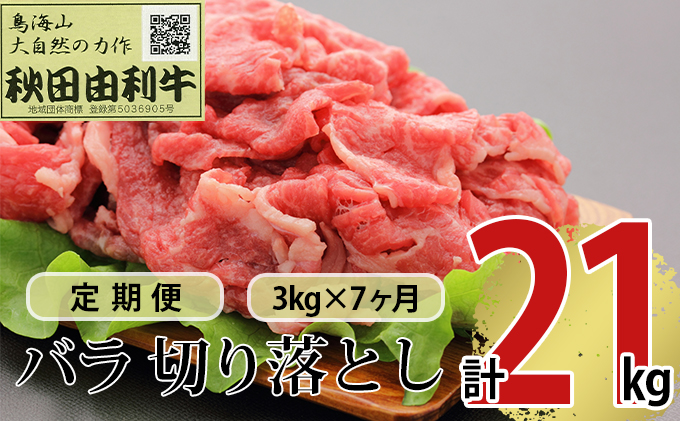 【秋田県にかほ市】《定期便》7ヶ月連続 秋田由利牛 バラ切り落とし 3kg(1kg×3パック)