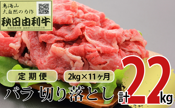 【秋田県にかほ市】《定期便》11ヶ月連続 秋田由利牛 バラ切り落とし 2kg(1kg×2パック)