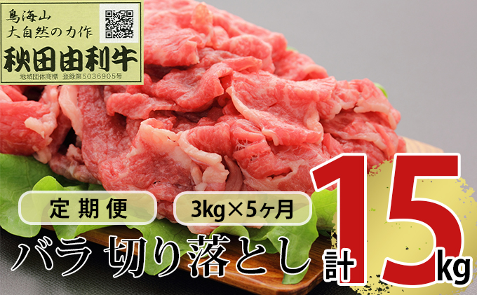 【秋田県にかほ市】《定期便》5ヶ月連続 秋田由利牛 バラ切り落とし 3kg(1kg×3パック)