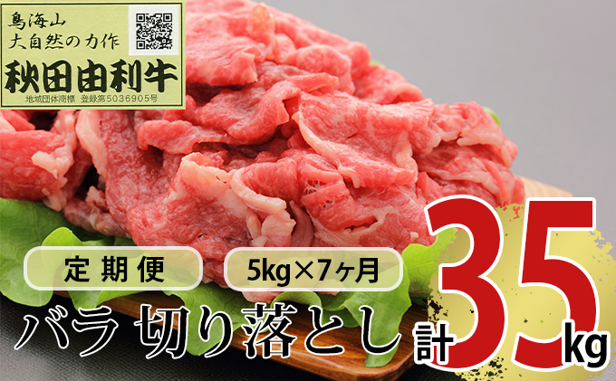 【秋田県にかほ市】《定期便》7ヶ月連続 秋田由利牛 バラ切り落とし 5kg(1kg×5パック)