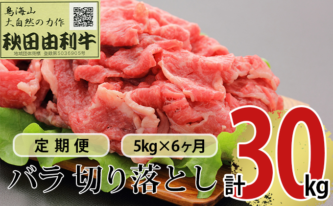 【秋田県にかほ市】《定期便》6ヶ月連続 秋田由利牛 バラ切り落とし 5kg(1kg×5パック)