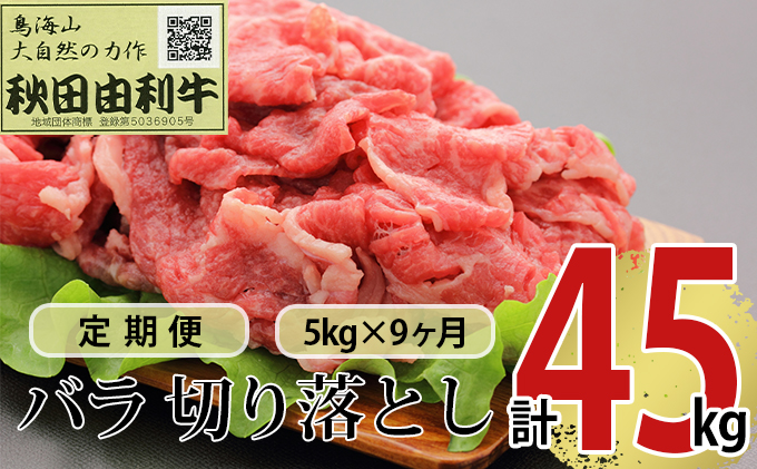 《定期便》9ヶ月連続 秋田由利牛 バラ切り落とし 5kg（1kg×5パック）
