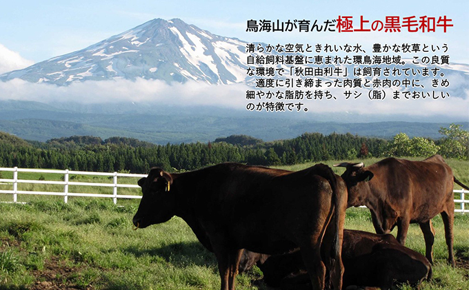 《定期便》7ヶ月連続 秋田由利牛 バラ切り落とし 5kg（1kg×5パック）