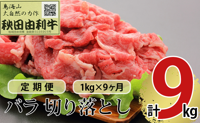 yHcɂَszsցt9A HcR o؂藎Ƃ 1kgi1kg×1pbNj