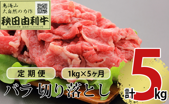 【秋田県にかほ市】《定期便》5ヶ月連続 秋田由利牛 バラ切り落とし 1kg(1kg×1パック)