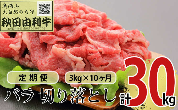 【秋田県にかほ市】《定期便》10ヶ月連続 秋田由利牛 バラ切り落とし 3kg(1kg×3パック)