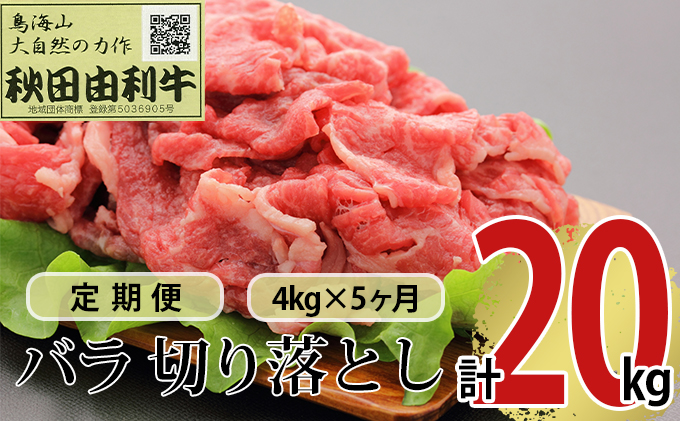 【秋田県にかほ市】《定期便》5ヶ月連続 秋田由利牛 バラ切り落とし 4kg(1kg×4パック)